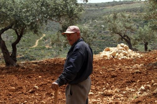 farmer in the field