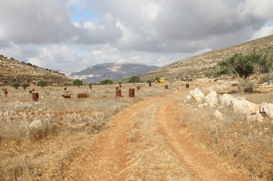 Dirt road 