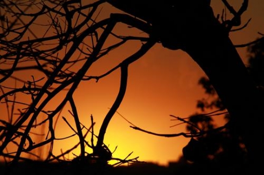 SunSet with nice effect