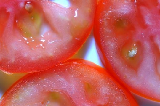 Tomato y