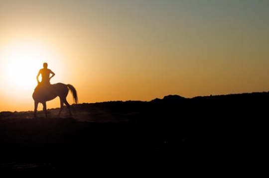 man on a horse