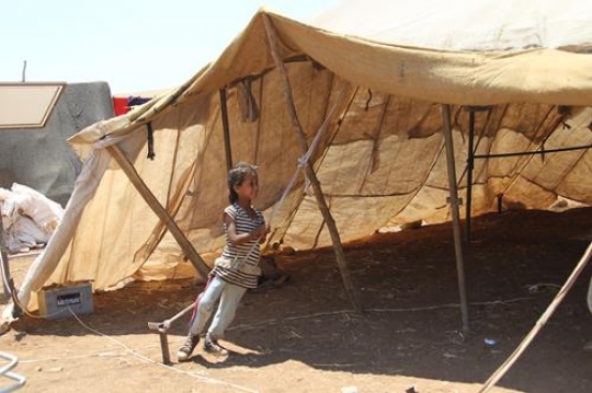 Refugee