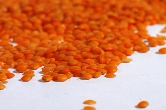 Lentils Grains