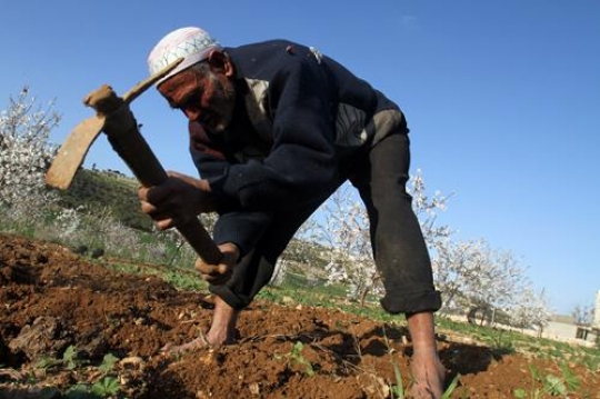 Farmer