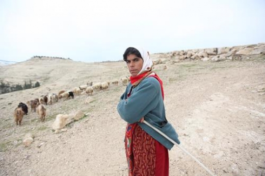 shepherd at bab al-sham