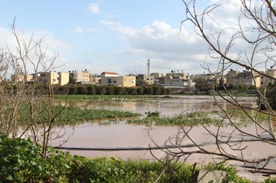 Floods in Qalqilya