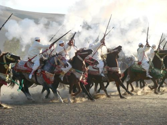 Horse Festival  