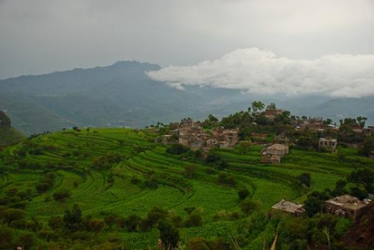 Houses In Nature