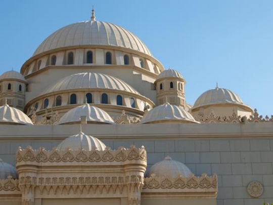mosquey