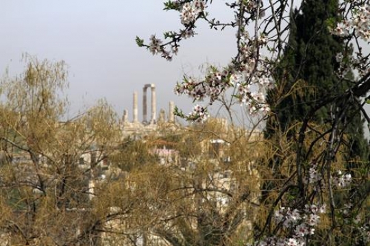 Citadel of Amman