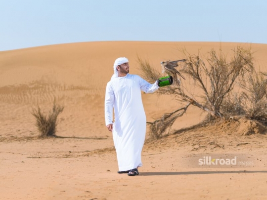 man lifting up falcon