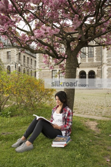 University Student studying |