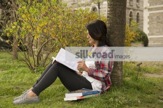 University Student studying on campus |