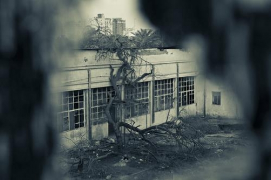 Ameeri hospital