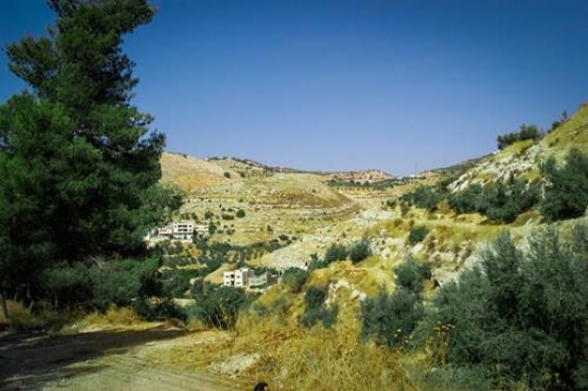iraq al-amir,jordan