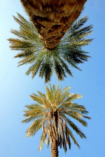 Reaching the Sky