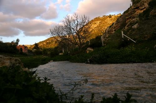 stream in iraq al amir,Jordan