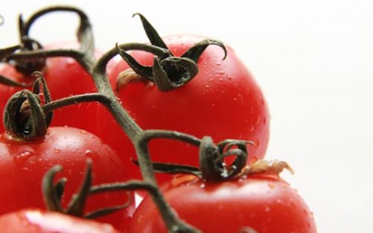 Red Tomatoes