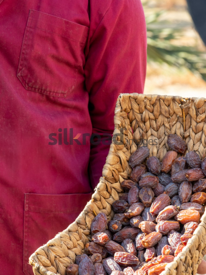 Date Harvest (56)