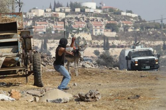 Palestinian resistance 