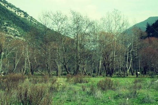 lebanon landscape