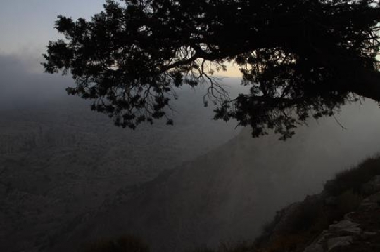 Nature in Jordan