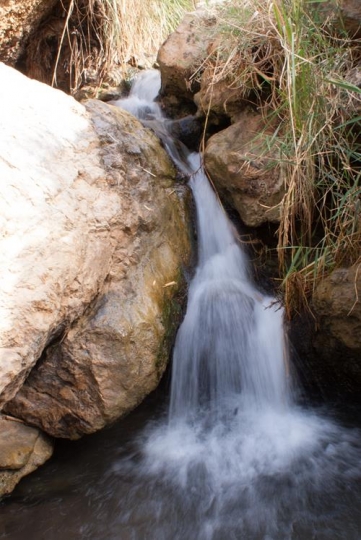 wadi mujib river