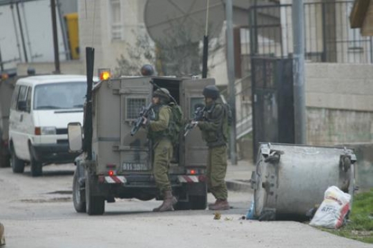 occupation
