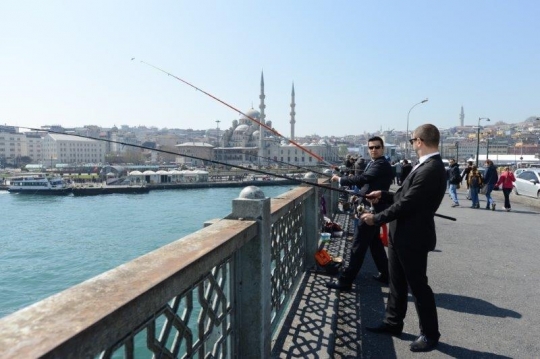 Turkey Business