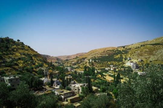 iraq al-amir,Jordan