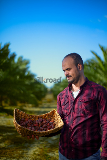 farm (10)