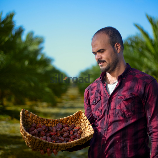 farm (11)