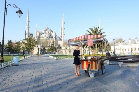 Turkey Business