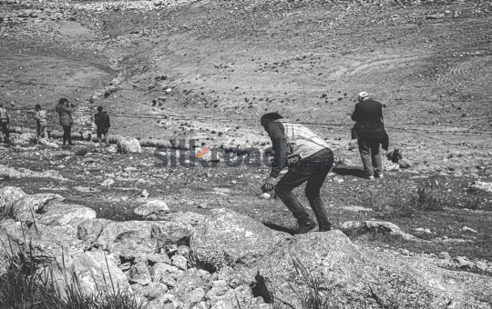 Photographers and Shepherds Near Flock of Sheep in Black and White